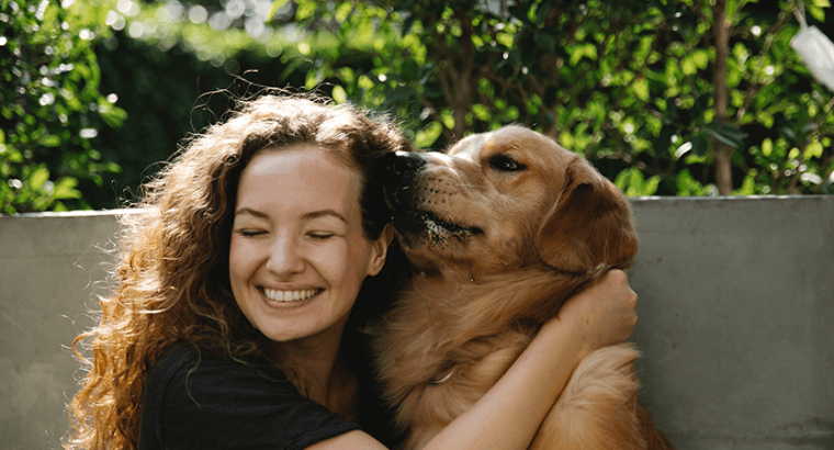 Filhote de golden retriever